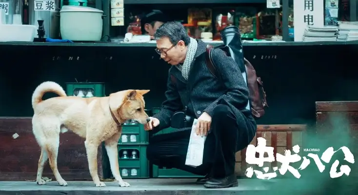 怎么在国外用涨乐财富通评价